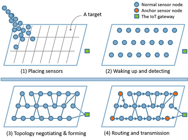 self-organization wireless network deployment