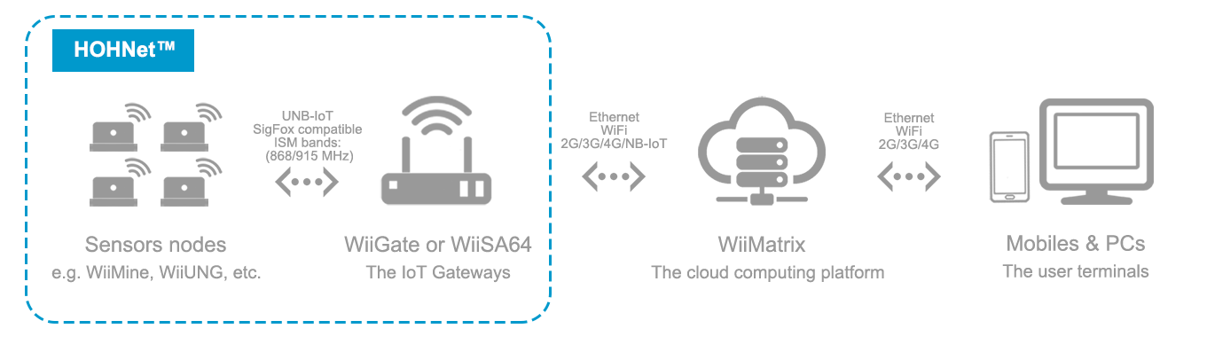 HOHNet network topology