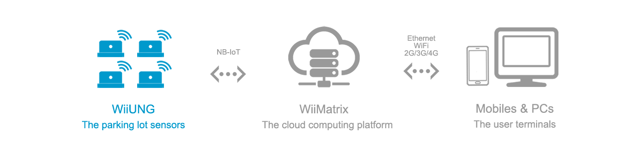 wiiung NB-IOT in hohnet topology